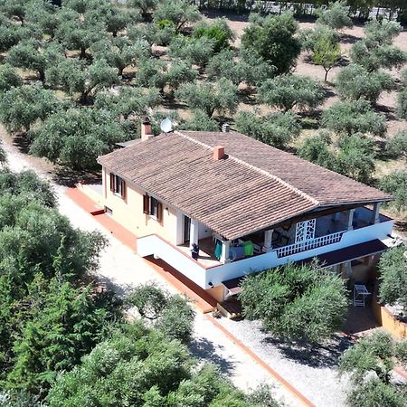 오로세 Rustico Degli Ulivi 아파트 외부 사진