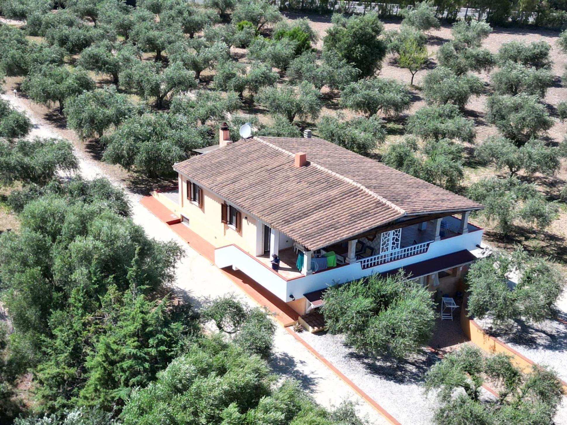 오로세 Rustico Degli Ulivi 아파트 외부 사진